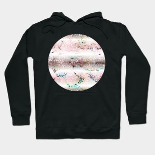 Colourful gradient unique flowers leopard stripes abstract modern 283 Pattern Hoodie